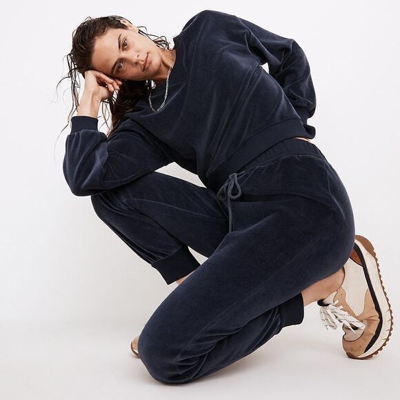 Madewell MWL Velour Crewneck Sweatshirt - Picture 1 of 9